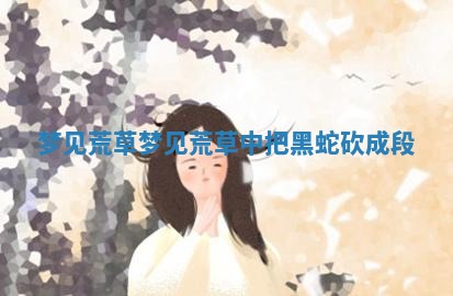 梦见荒草 梦见荒草中把 🈁 黑蛇砍成 🍃 段